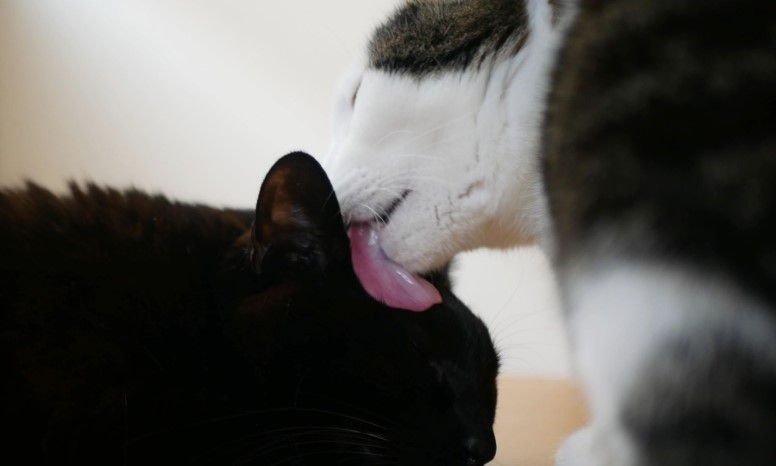 一番大事なのは