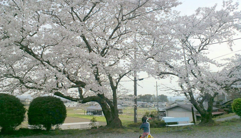 百聞は一見にしかず