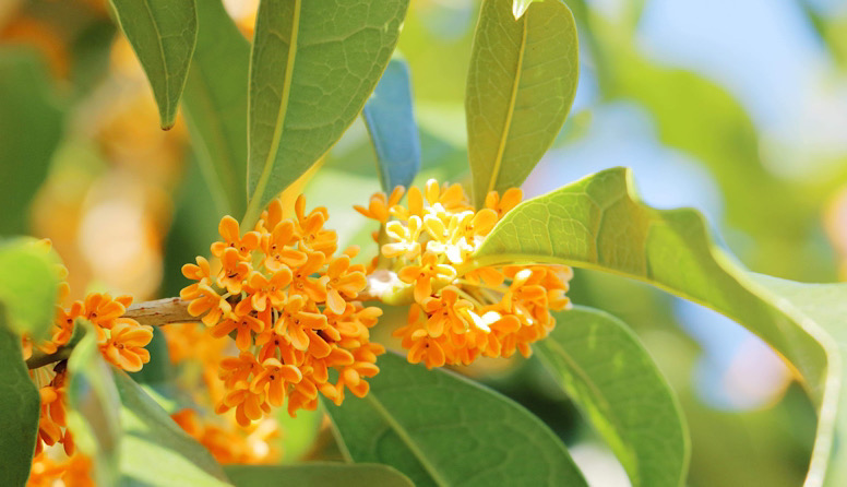 タイムスリップ